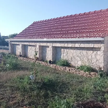 Casa Dos Passaros Holiday home
