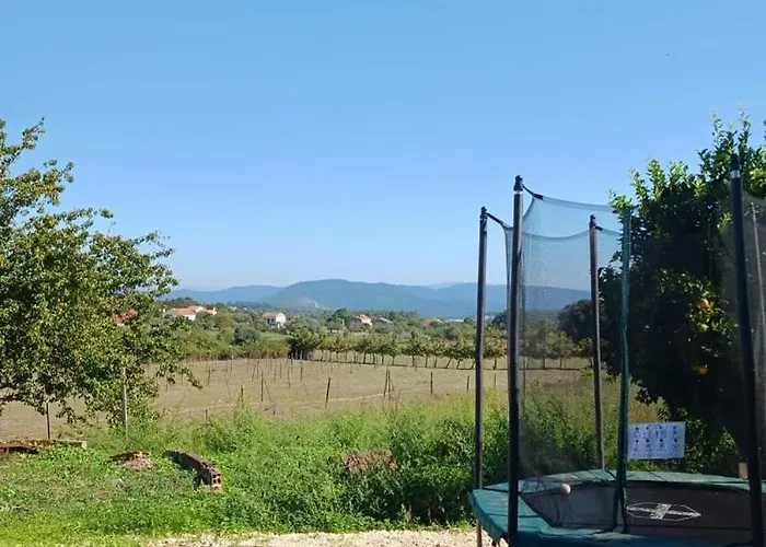 別荘 Casa Dos Passaros